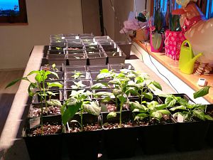 IMG_20180108_105456-1189x1707