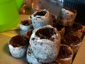 IMG_20180109_205039