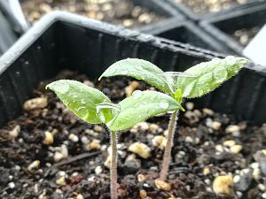 IMG_20180109_214646