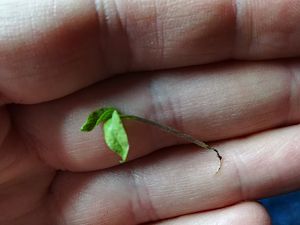 IMG_20180111_083624