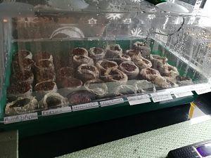 IMG_20180110_231737