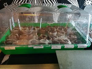 IMG_20180110_231728
