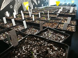 IMG_20180116_213902