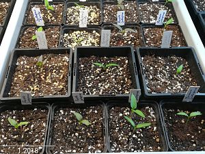 IMG_20180122_213238