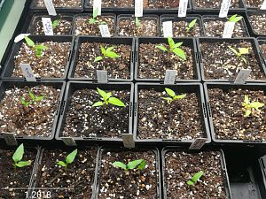 IMG_20180122_213050