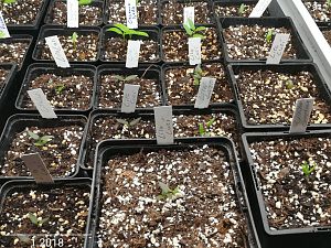 IMG_20180122_213151