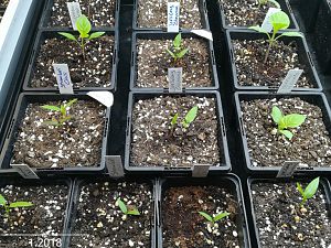 IMG_20180122_213302