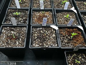 IMG_20180122_213325