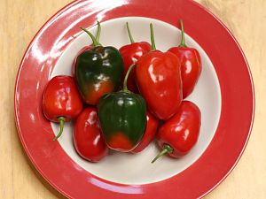 20180203-rocoto-cuencano-HM6C1083