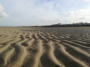 IMG_20180130_114357
