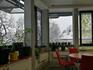 IMG_20180212_150432-1516x1041
