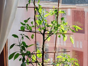 Jamy 2018_0301