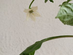 IMG_20180303_092732