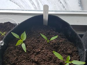 20180303_094248