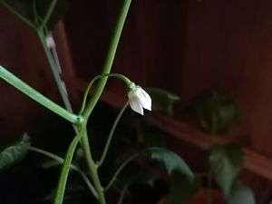 18_02_2018 The Beginning