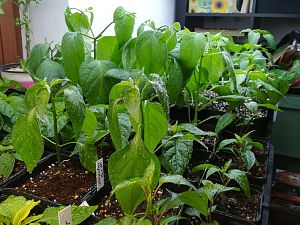 IMG_20180304_210526