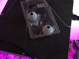 Pong