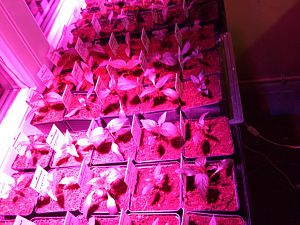 IMG_20180309_195122