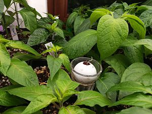 IMG_20180314_213820