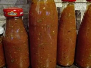 Salsa fertig