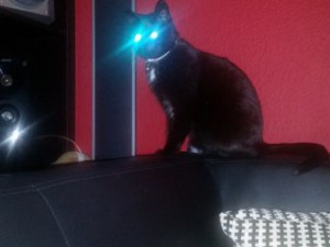 Tinka 20160228_202020