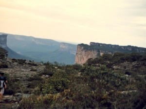 Image75 (1)