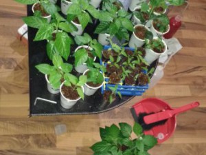 IMG_20160318_190512109