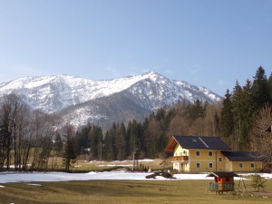Gartenaussicht Schnee