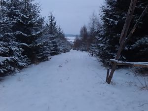 Winter März 2018 4