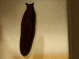 IMG_20180322_191625