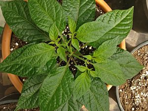 IMG_20180322_102008