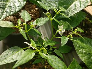IMG_20180322_092552