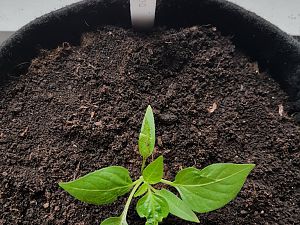 20180324_101451
