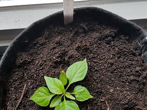 20180324_101431