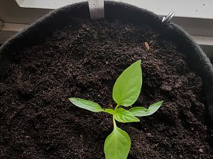 20180324_101135