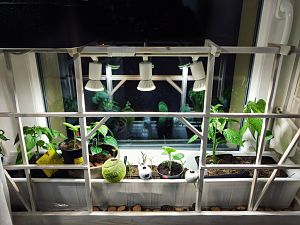 Grow IMG_20180326_224403-01