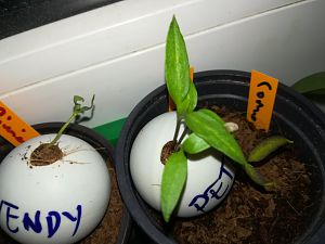 IMG_20180328_193905