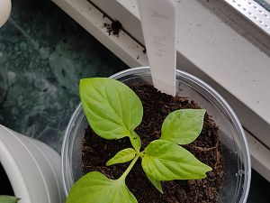 20180330_090643