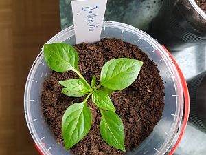 20180330_090704