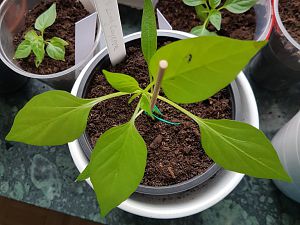 20180330_090733