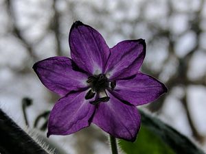 IMG_20180330_144420