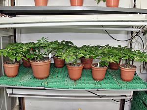 IMG_0596-D