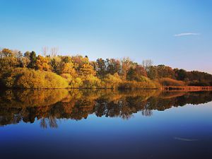 Der Herrenteich