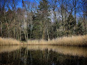 Natur in Stereo