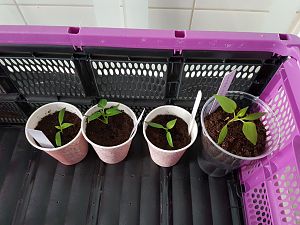 20180405_084513