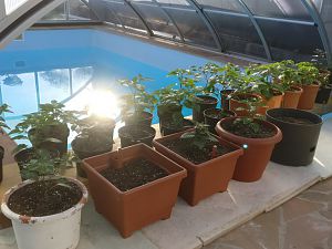 IMG_20180406_173620