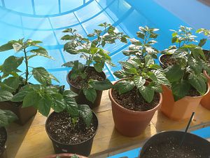 IMG_20180406_173648