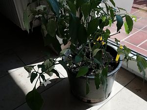 IMG_20180408_134051