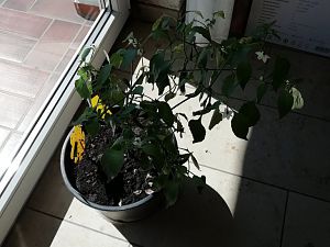IMG_20180408_134040