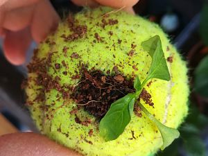 IMG_20180418_082123